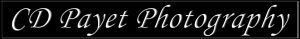Charlotte dentist photographer 