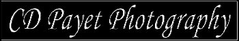 Charlotte dentist and photographer