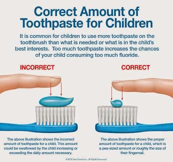 Charlotte family dentist describes how much toothpaste to use for children