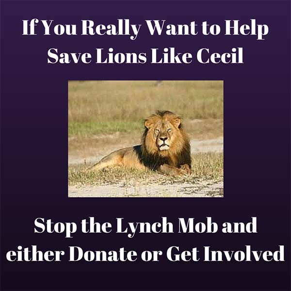 Stop-the-Lynch-Mob)